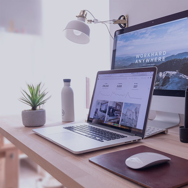 bid writing services in ireland